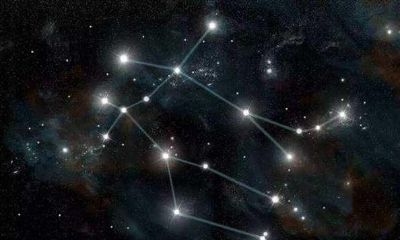 双鱼座时来运转（双鱼座什么时候转运）