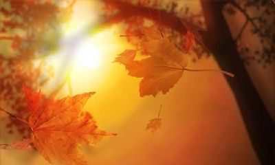 日柱的天干地支（干支相生的日柱有哪些）