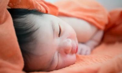 虎年的后一年是什么（虎年完了下一年什么年）