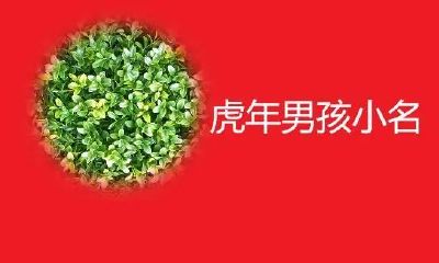 属虎名字带什么最好（属虎女孩高雅有涵养的名字）