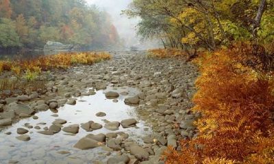 如何跟摩羯座的人相处（怎样和摩羯座同事相处）