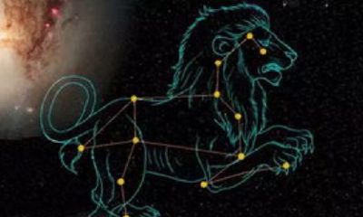 狮子座女孩性格是怎样的（狮子座女性特点）