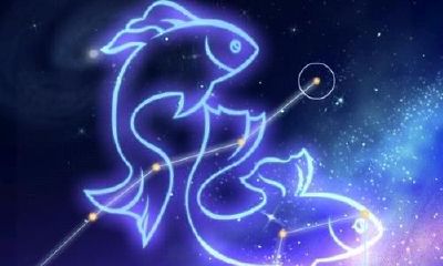 下降星座双鱼座的女生（天秤座女生性格）