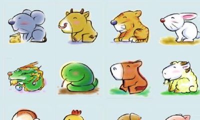 属相怎么排序的（属马的和什么属相最配）