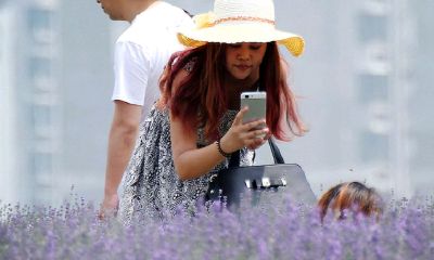 塔罗牌测试另一半的职业（塔罗占卜未来另一半职业）