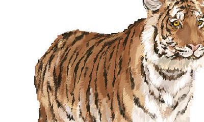 属蛇人今年有偏财运吗（属蛇女今天偏财运）