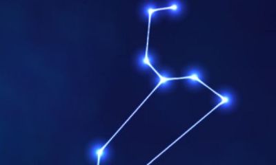 狮子座女孩子怎么追（和狮子座男生聊天技巧）