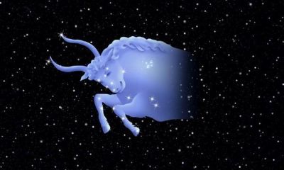 天蝎女被什么星座降住（能降住天蝎座有哪些星座）