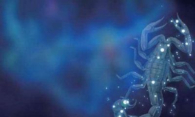 怎样判断天蝎座女孩喜欢你（天蝎座男生喜欢的类型）