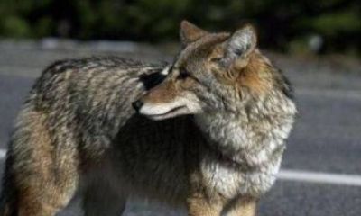 历史上看面相的高人（古代面相大师）