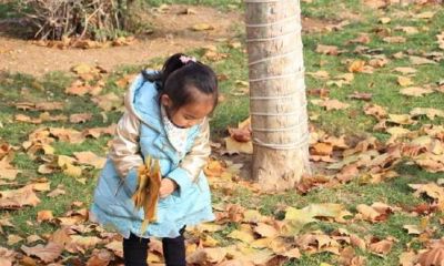 刘字起名字大全女孩（给小女孩起名叫刘什么呢）