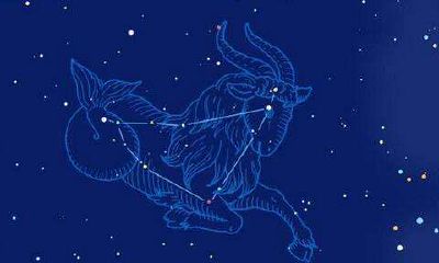 摩羯座的女孩子性格是怎样的（狮子座的女孩子）