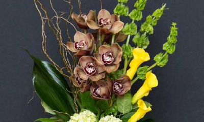 为什么属虎的人招人讨厌（属虎的命运一生怎么样）