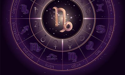 月亮摩羯座吸引什么星座（天蝎座和什么星座最配）