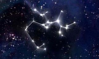 射手座每月运势2023年第一星座（射手座2023）