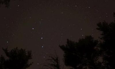 属龙名字带星的含义（属龙的是什么星座）