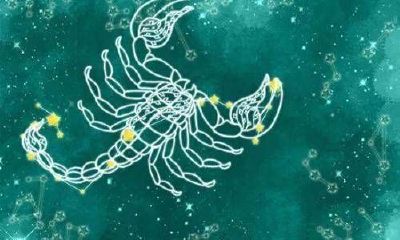 天蝎座夜晚太感性了（天蝎座女生感性吗）