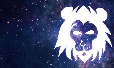 狮子座是什么节（十二星座厉害排名）