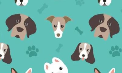 属马人2023年下半年爱情运势最新（天蝎座爱情运势）