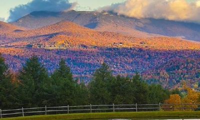 十年大运征兆（十年大运很差怎么办）