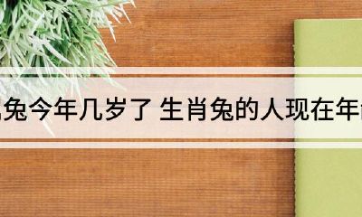属兔的过了34岁就（1987年属兔34岁怎么样）
