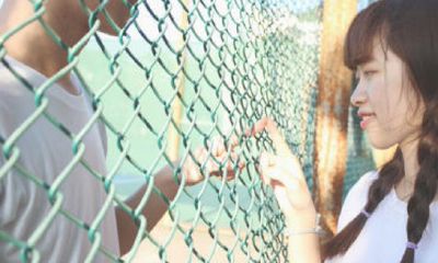 男女生肖不合会幸福吗（猪和牛相配婚姻如何）