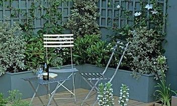 院里有大树影响风水吗（院子里有大树风水好不好）