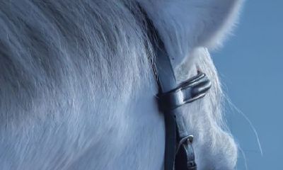 属蛇男最佳绝配（属蛇男和属马女婚姻相配吗）