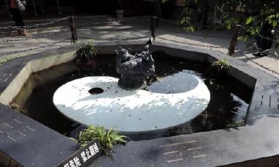 风水地灵神有没有鹿（属兔的戴什么属相）