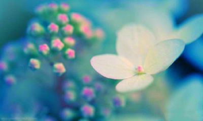 数字43的吉凶含义（数字52的吉凶含义）