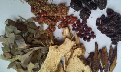 药材行起名字（天蝎座在十二星座中是最聪明的吗）