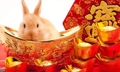 兔是哪年的生肖（属兔都有几几年出生的）