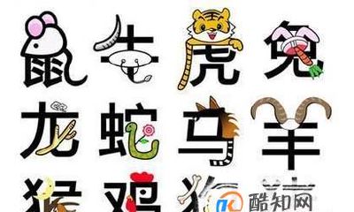 生肖代表什么（12生肖各自象征的意义是什么）