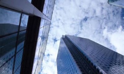 100个招财公司名（最招财的花卉）