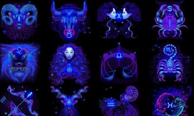 1月份是什么星座（怎么查询自己的星座）