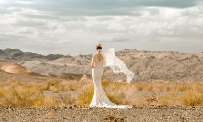 属牛女最佳婚配属相（属牛是什么命五行属什么）