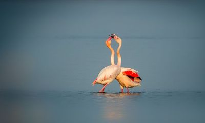 水瓶座男孩分手后想继续做朋友（分手后水瓶座主动联系）