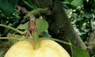 看手相一斗穷二斗富（斗手相的人的命相）