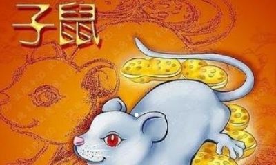 2023年属鼠的命运五行（属鼠五行属什么）