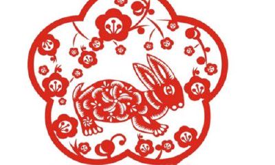 属相兔子今年多少岁（生肖是兔子的今年几岁）