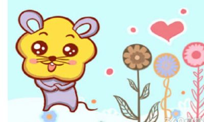 属鼠不能带什么（属鼠的本命年带鼠好不）