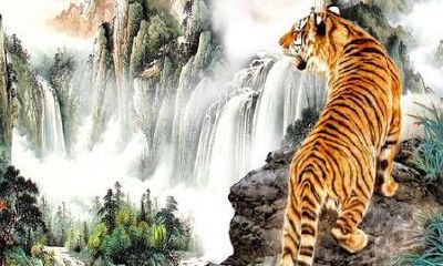 74年属虎男2023年本命年运势如何（1974年属虎2023年本命年运势如何）