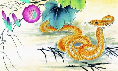 2023年事业运排名前五的生肖（鼠年生肖运势）