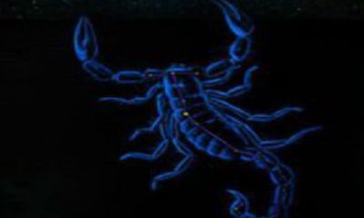 与水瓶座无缘的星座（水瓶座的孽缘星座）