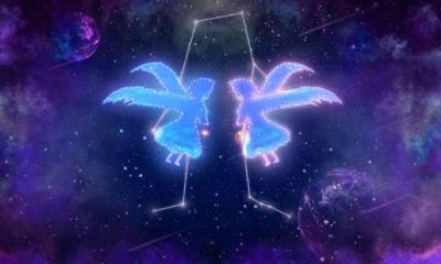 双子座是什么象星座嘛（摩羯座是水象星座吗）