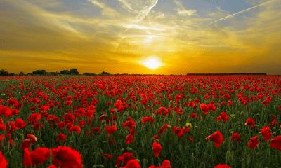 98年水瓶座中午11点生（水瓶座生气了怎么哄）