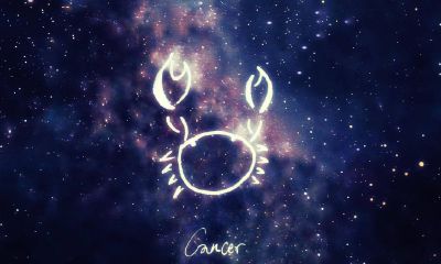 摩羯座最近的运势如何建议（摩羯座2023年工作调动）