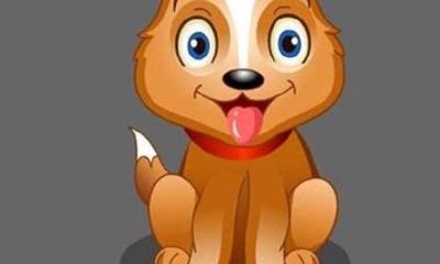 男属狗和属什么的最合适（狗男跟什么属相配最好）