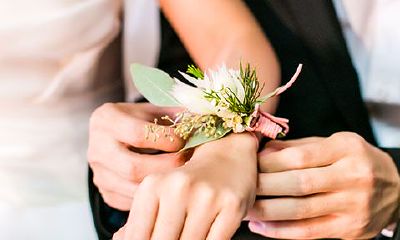 属相猪和属相猪合不合（猪跟猴的属相合不合）