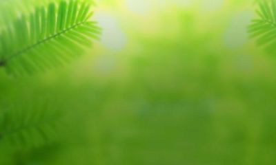 狗男跟虎女的属相合不合（牛男跟虎女属相婚配如何）